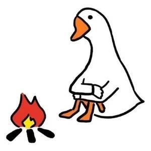 Meet your Posher, Elisabeth